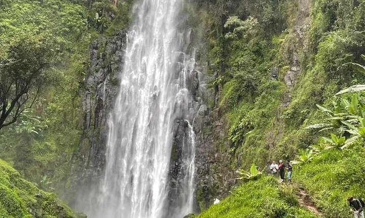 Materuni Waterfalls Coffee Tour and Kikuletwa Hot Springs.