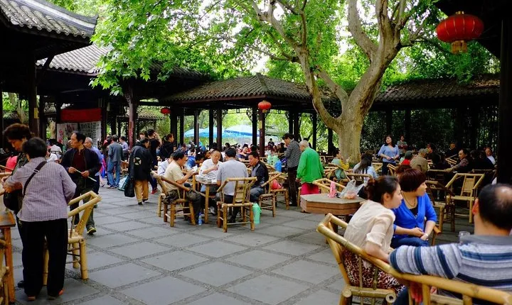 Chengdu Panda Tour and local Culture Experience