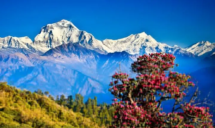 Private 10 Days Tour Package in Nepal