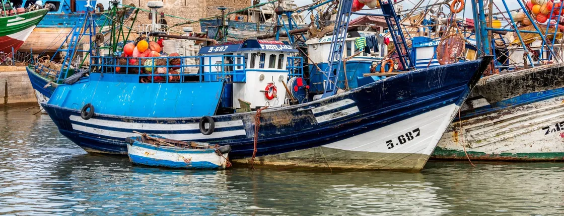 Essaouira Medina and Harbour Tour with Argan Coop Visit