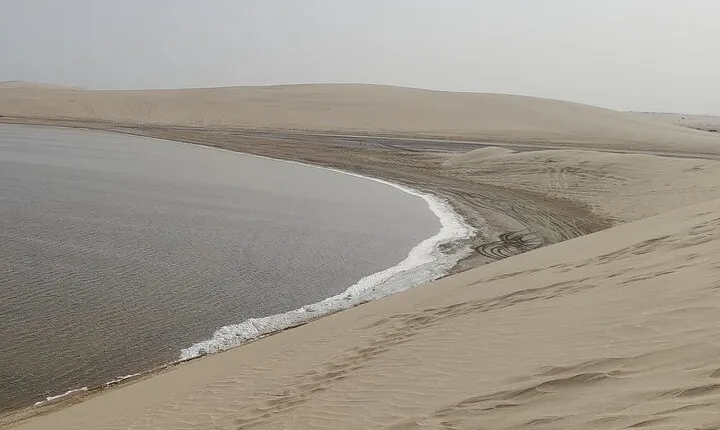 Doha: Desert Safari (Private Tour) with Pick Up & Drop Off