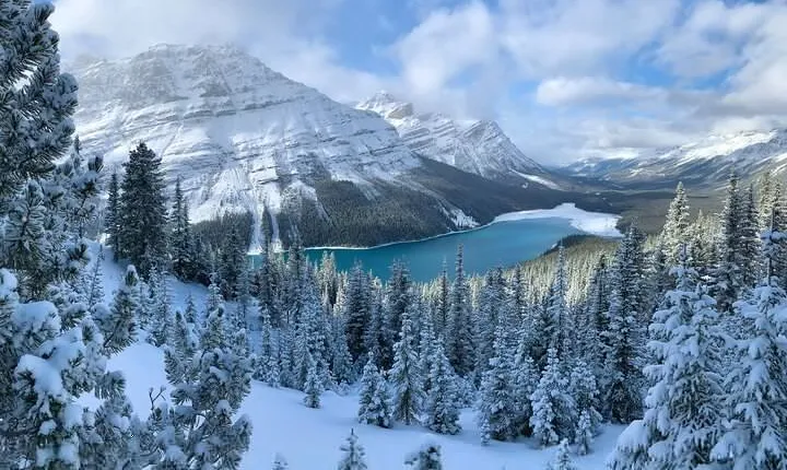 Private Tour for up to 24 guests of Lake Louise and the Icefield Parkway