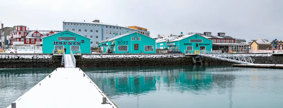 TUI Reykjavik City Tour with FlyOver Iceland Experience