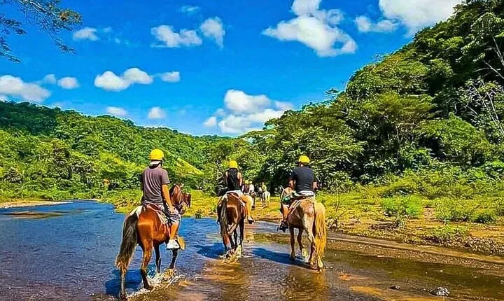 Rainforest Horseback+Waterfall Rappelling+1.3 Miles in Zip Line Combo+Lunch