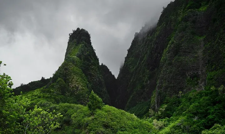 Private Iao Valley/Upcountry VIP Farm Tour- Full Day