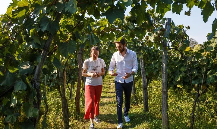 KUTAISI, WINE & DINE - Group tour from Tbilisi