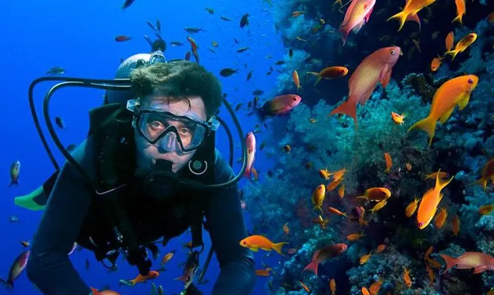 Advanced Open Water PADI Course Diving in Red Sea - Hurghada