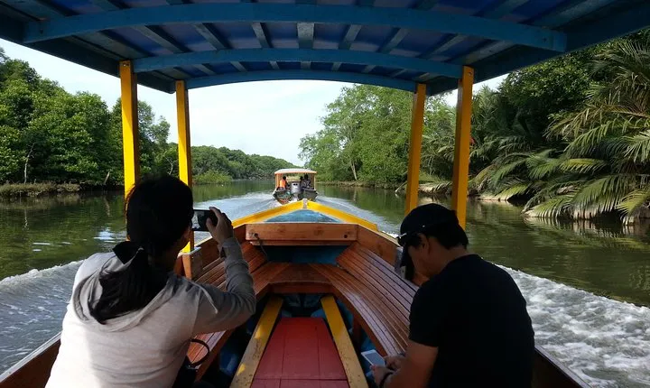 Private Proboscis Monkey Tour