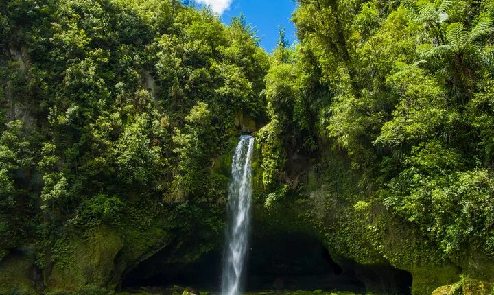 Tauranga Shore Excursion: Omanawa Falls & Great Sights Tour