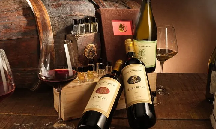 Bolgheri: Sensorial Wine Tasting with Winery Tour
