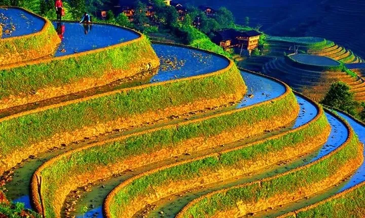 Small Group: Longji Rice Terraces & Minority Village Tour