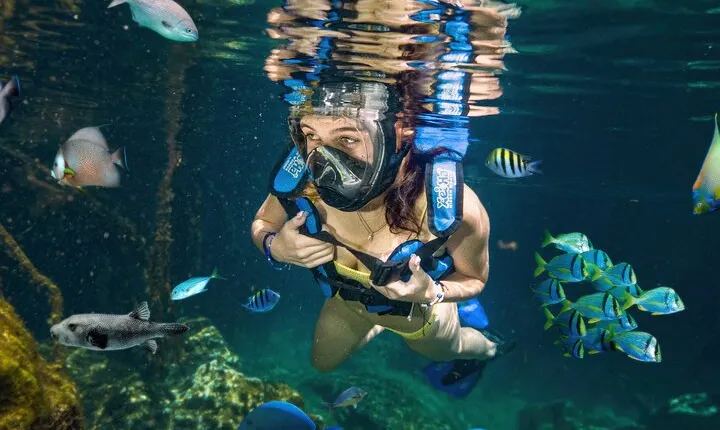 Xel-Ha Tickets with Transportation included