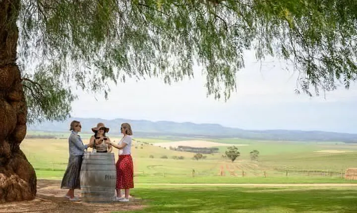 Small Group All Inclusive Barossa Valley Food and Wine Tour