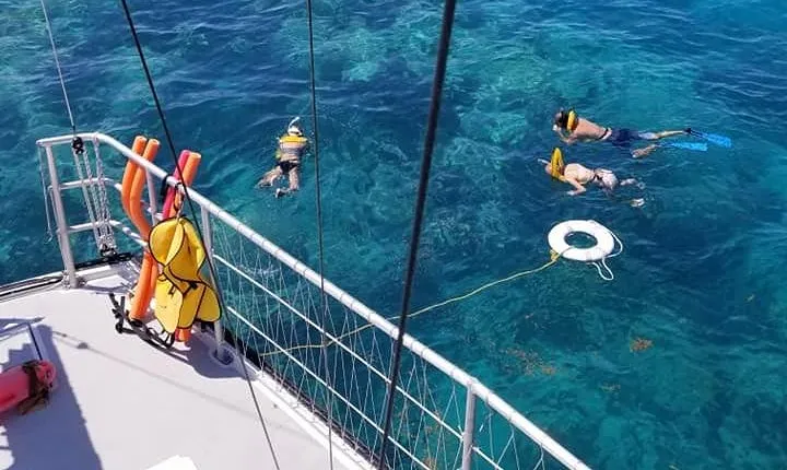 Key West Reef Snorkel & Sail Adventure