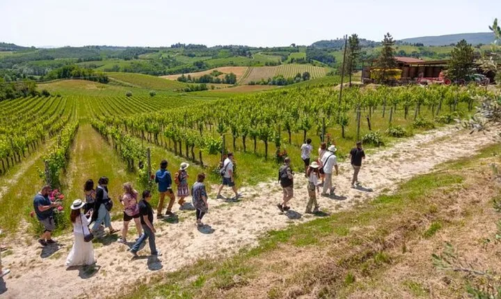 Tuscany Day Trip from Florence: Siena, San Gimignano, Pisa and Lunch at a Winery