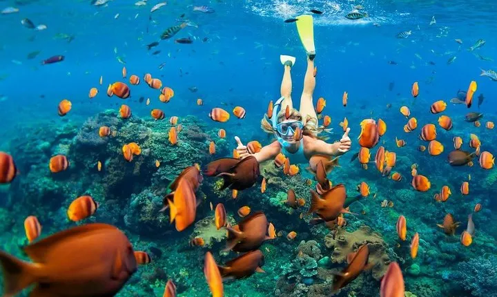 Blue Lagoon Snorkeling - Jungle Swing - Ubud - All Inclusive