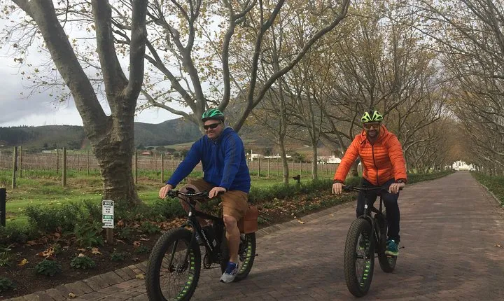 E-Bike Wine Tour Stellenbosch (Half Day)