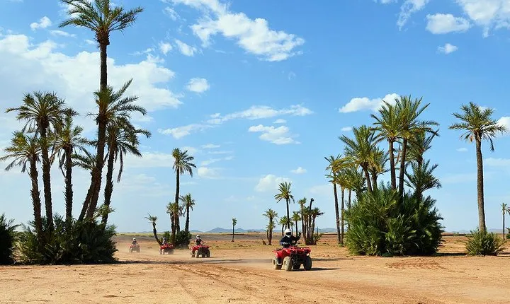 Marrakech Desert and Palm Grove Quad Bike Tour