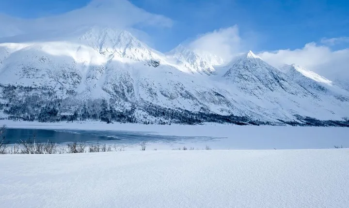 Arctic fjord and Landscape Tour