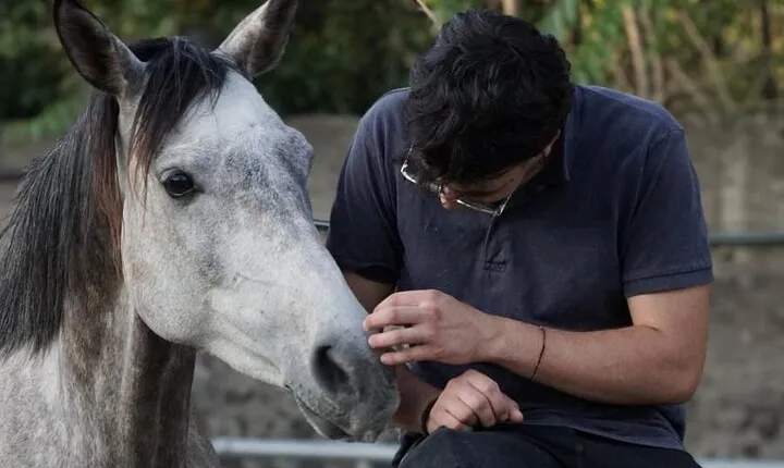 Private Pompeii, Horse Riding & Lunch Tour w/ Pick up included