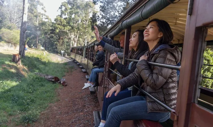 1 day Puffing Billy Steam Train and Wildlife Tour from Melbourne