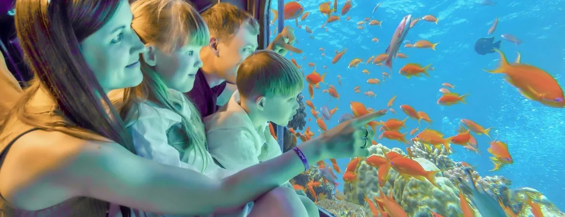 Sea scope submarine in Hurghada city and resorts