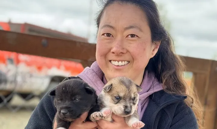 Anchorage's Authentic Dog Sledding Experience