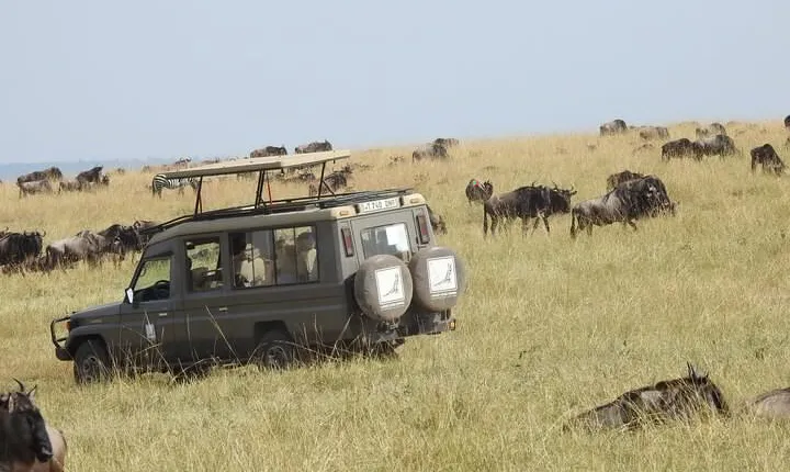 3-Day Serengeti NP, Ngorongoro Crater