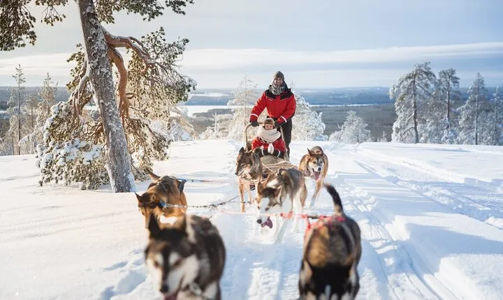 Arctic Husky Adventure in Rovaniemi