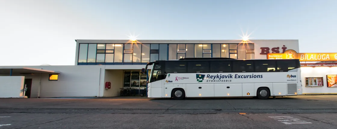 Transfer from Keflavík International Airport to hotel