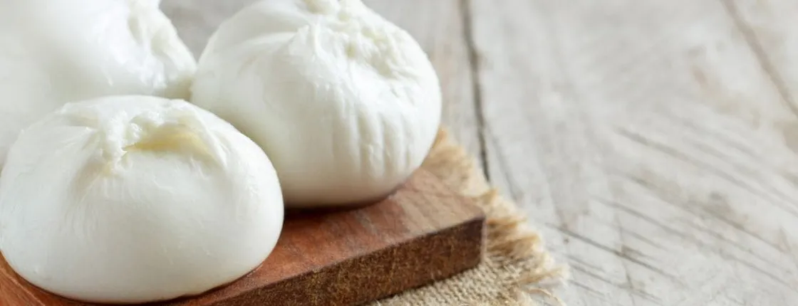 Farm tour and mozzarella making experience near Ostuni