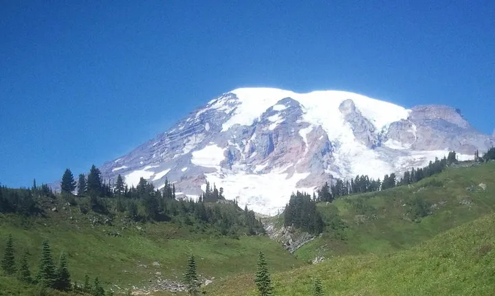 Mt Rainier Private Tour Experience in SUV