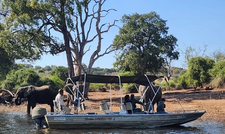 Chobe Explorer: Full-Day Land & River Safari (Small Group)