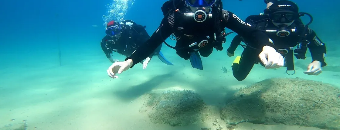 Scuba diving in Tossa de Mar with three-course meal