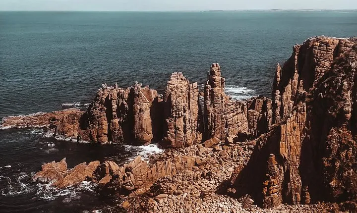 Small Tour (8 ppl) Phillip Island Hike & Penguin Parade Day Tour