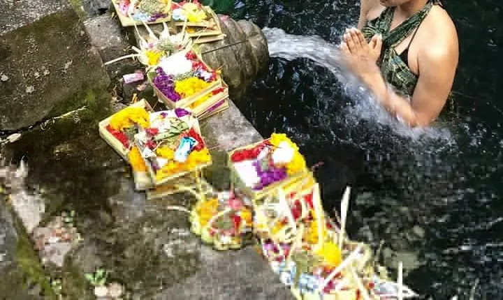 Ubud Temple Tour & Purification and Rice Terrace