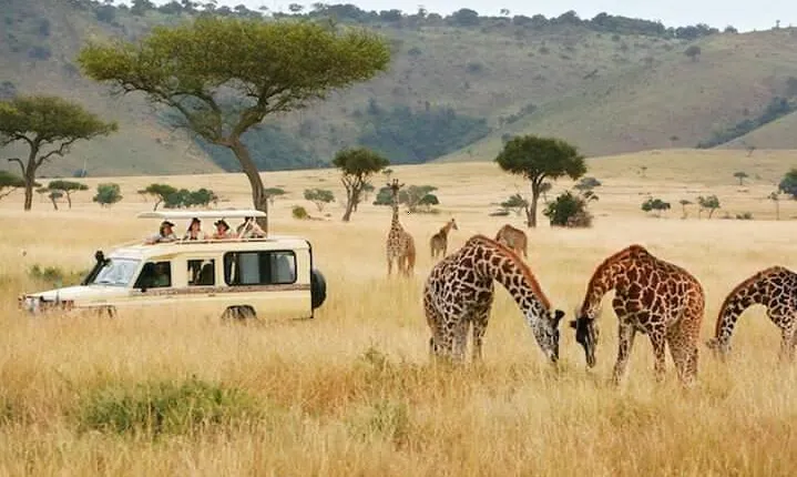 5 Days Safari in Tanzania | Camping and Lodge Safaris