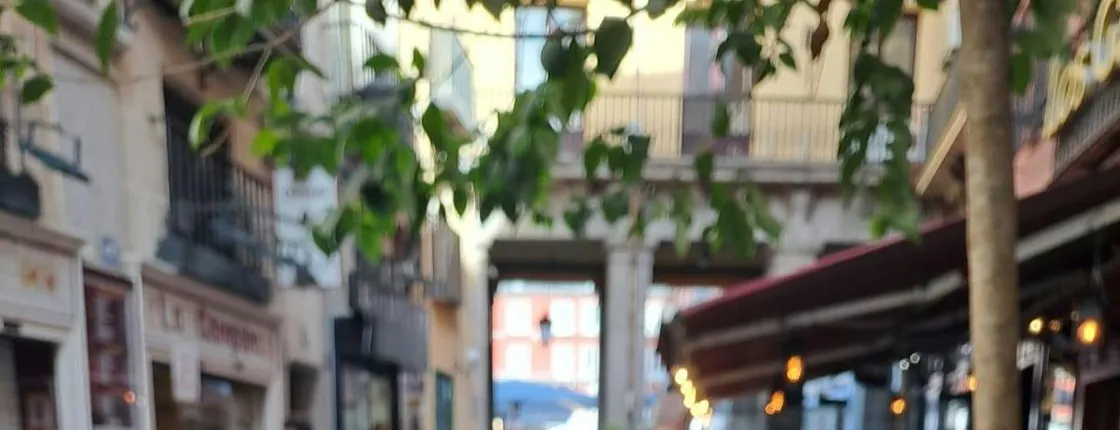 Madrid Food Tour with Tapas & Drinks with a Local