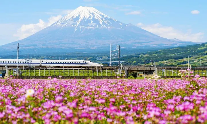 Bullet Train and Mt. Fuji Famous Food Tour