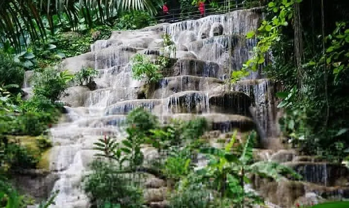 Konoko Falls and Garden Tour from Port Anotonio