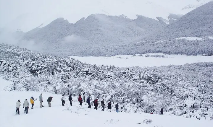 Sleigh and snowmobile experience in the Tierra Mayor Valley