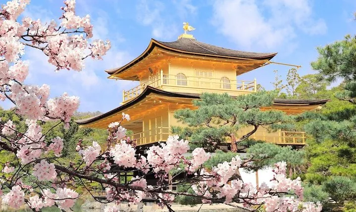 Osaka & Kyoto Highlights Tour with Traditional Kimono Experience