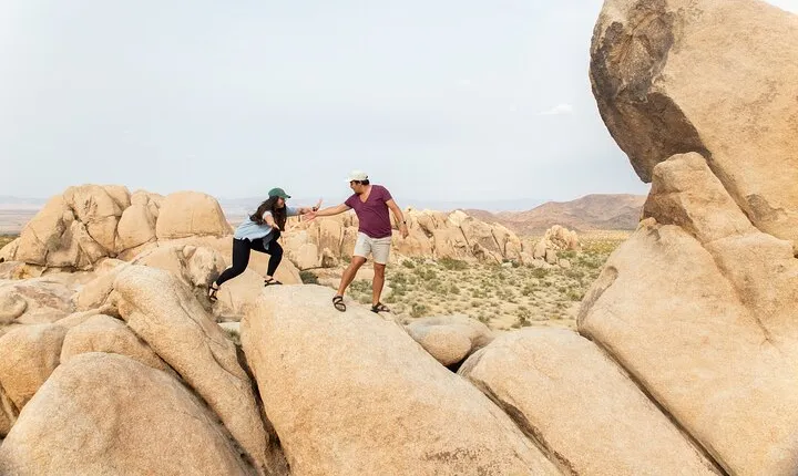 Joshua Tree Full Day Private Tour & Hike