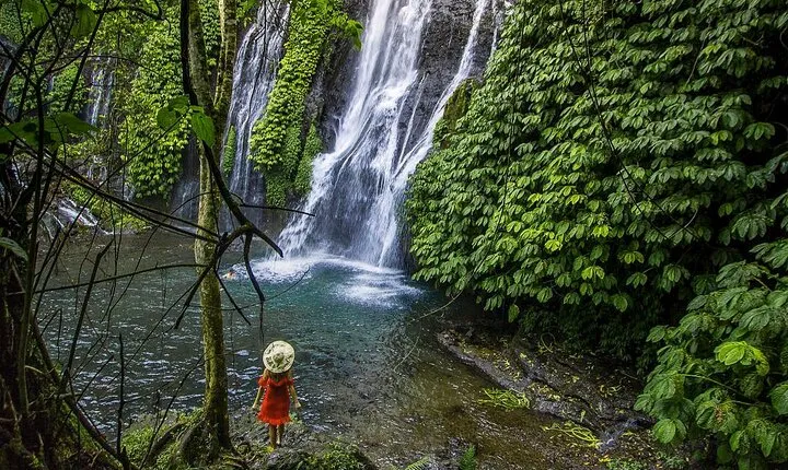 Most Beautiful Waterfall: Banyumala Waterfall