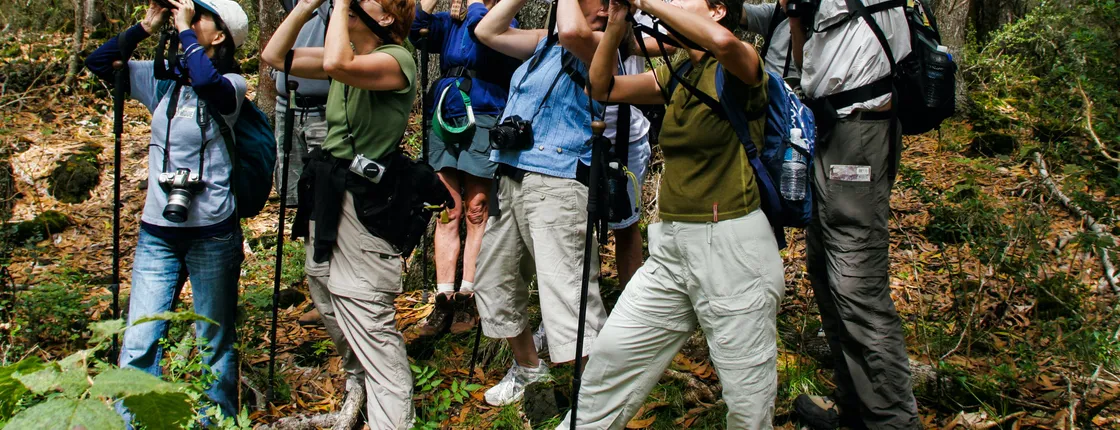 Nature tour of Hakalau Forest Reserve