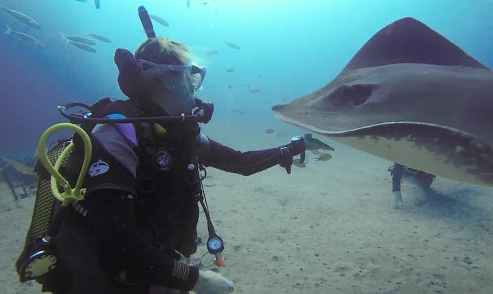 SSI Fish Identification Specialty Course in Tenerife