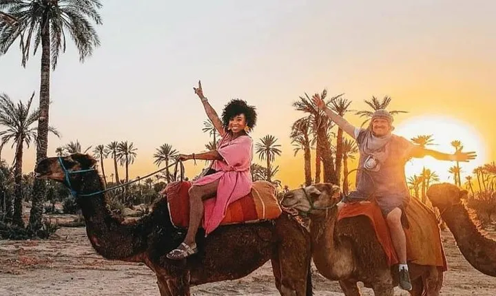 Camel Ride Plameraie