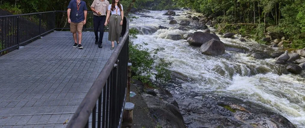 Full-day Cape Tribulation, Daintree and Mossman Gorge with lunch