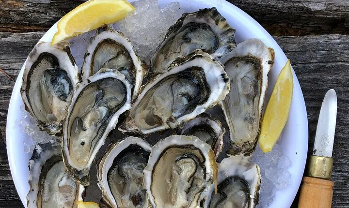Lagos Oysters Tasting & Bubbles