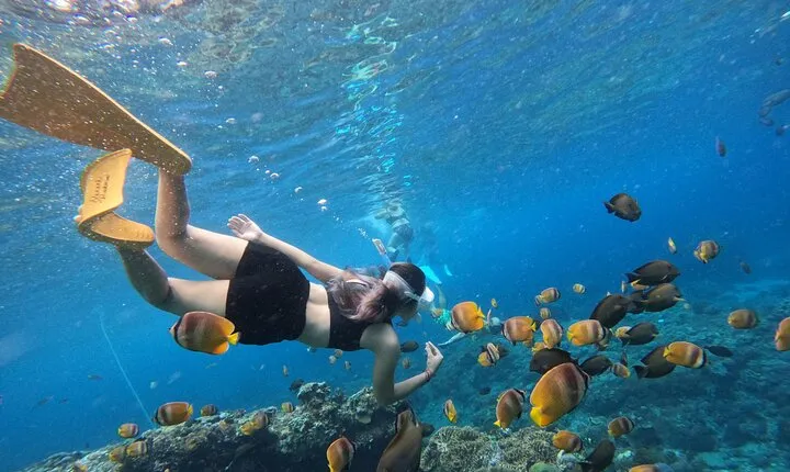 Snorkeling Day Trip To Lembongan and Penida